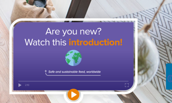 introductie van een training
