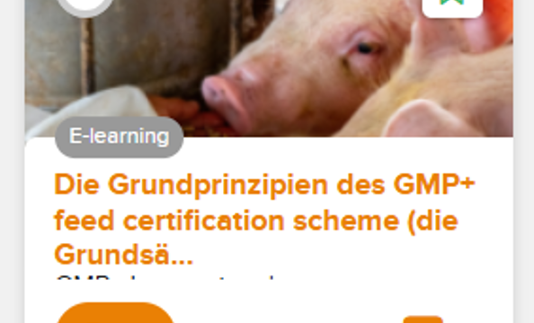 Bild mit einem Tier